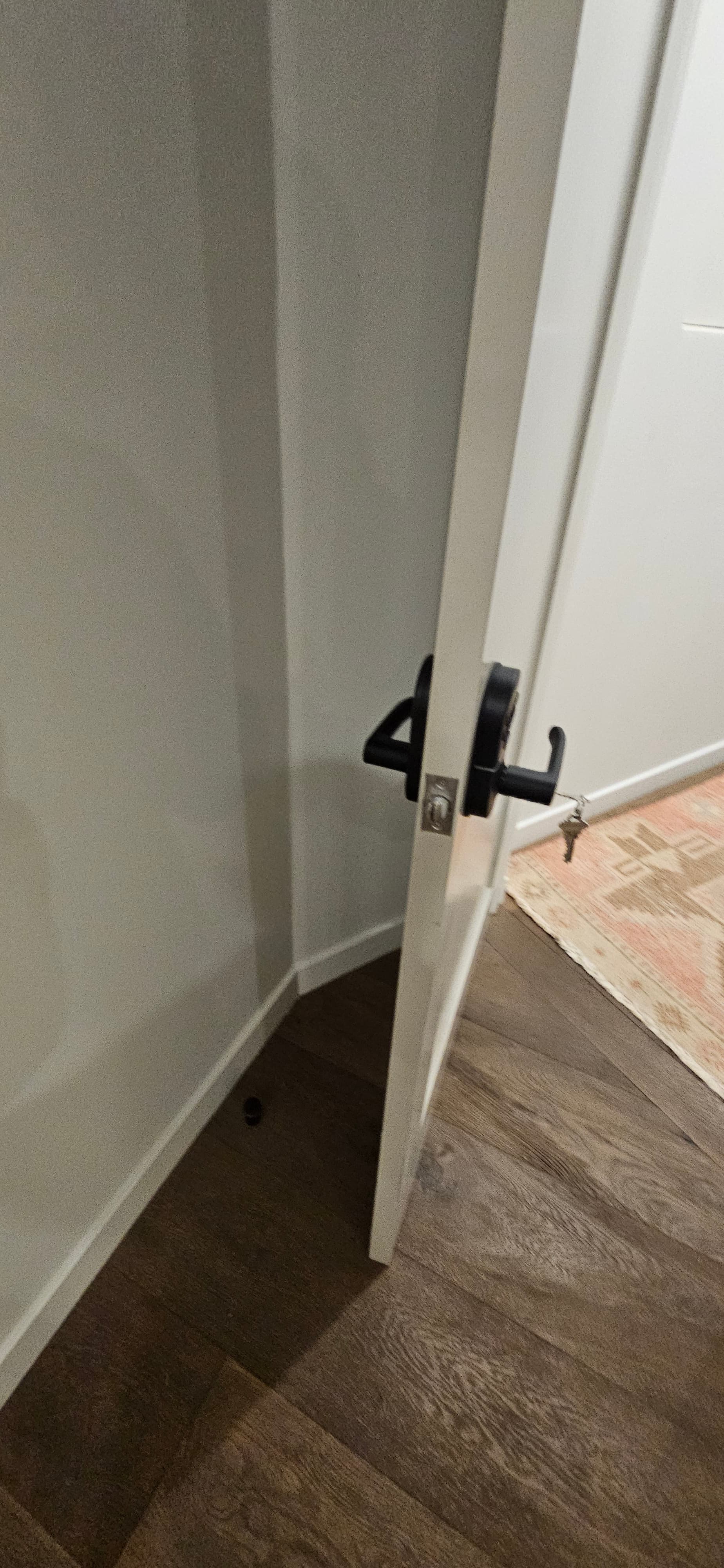 Door lock repair